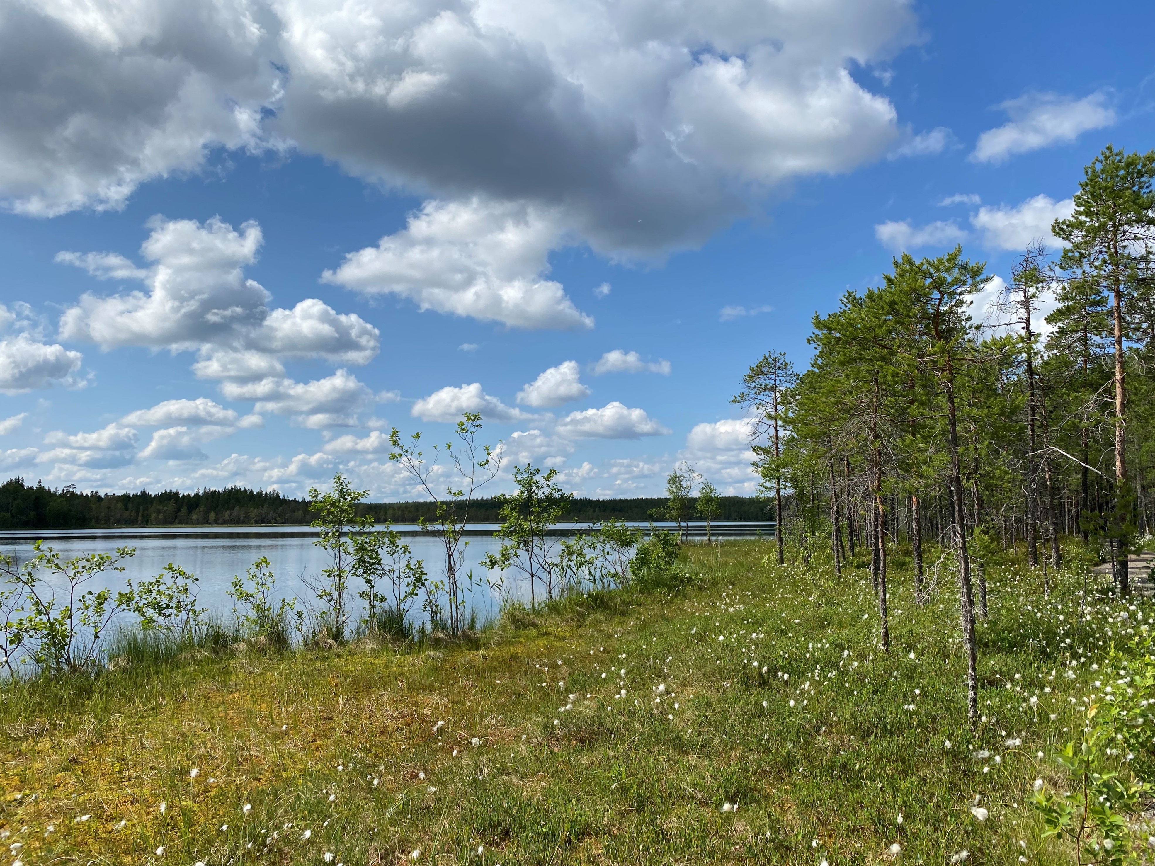 Salamajärven kansallispuisto