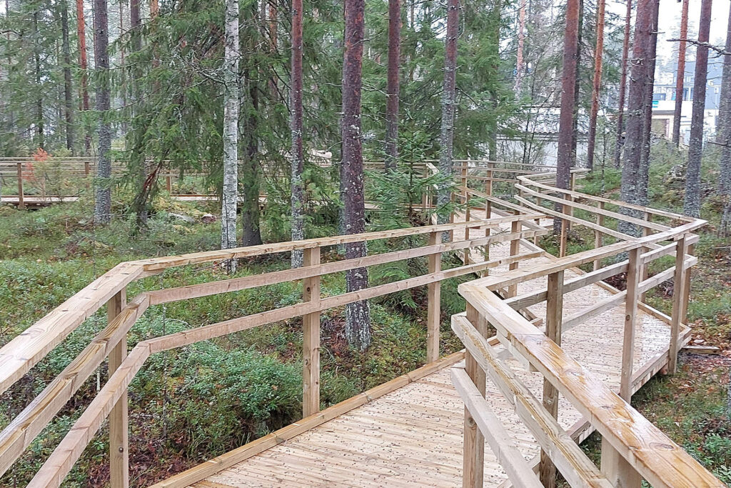Terveysmetsä