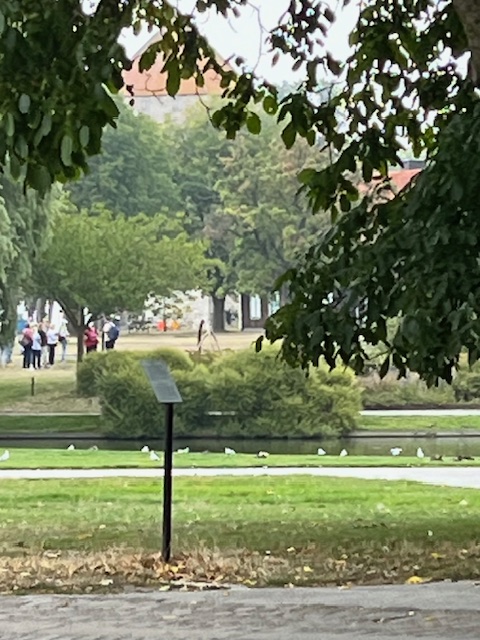 Almedalen puisto