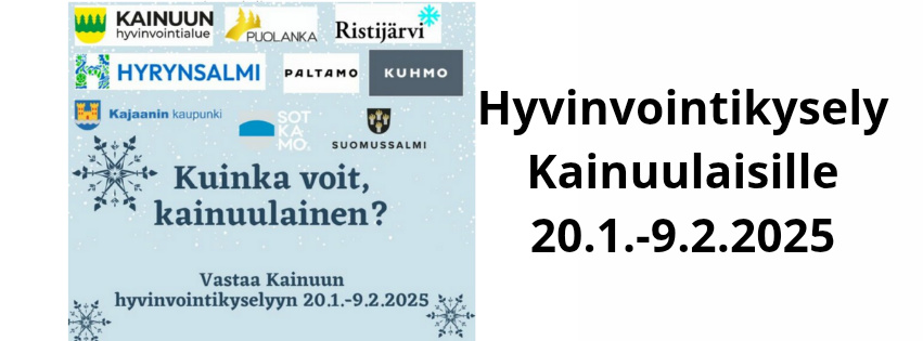 Hyvinvointikysely 2025