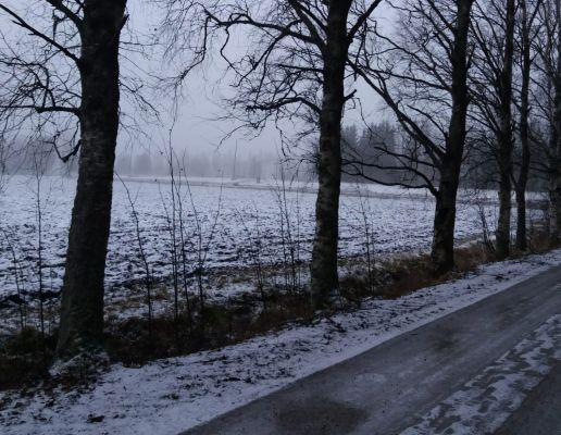 Kävelyä 28.02.2025