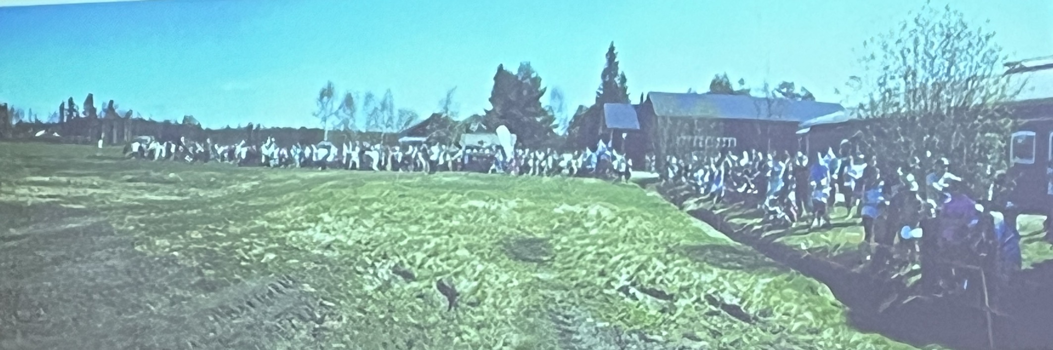 Lehmät laitumelle