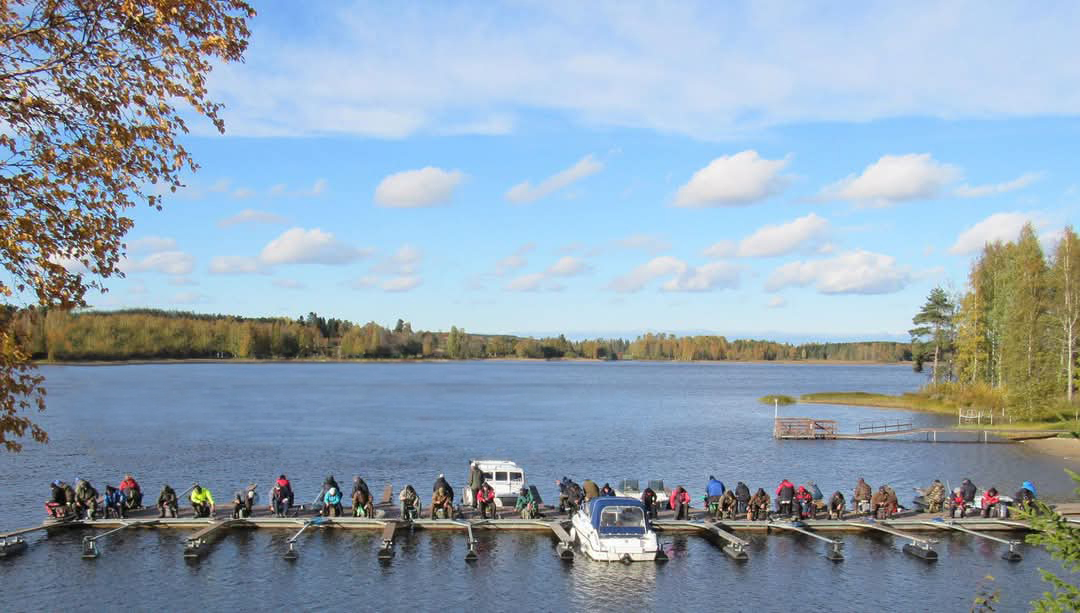 Laituripilkki
