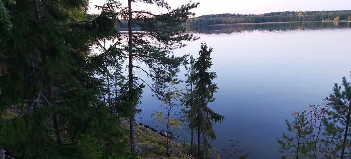 2025 Pappilanniemi