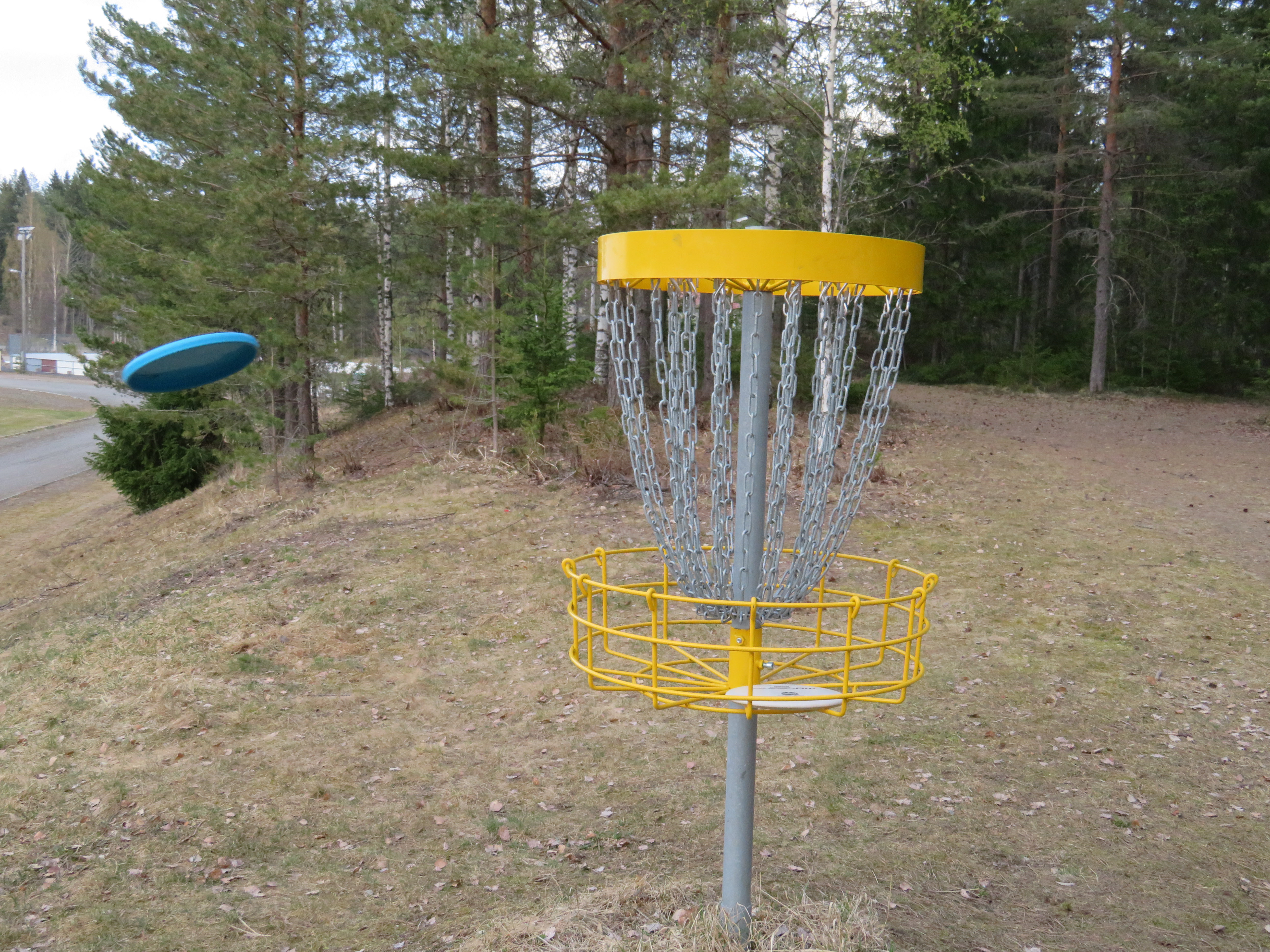 somero_frisbee