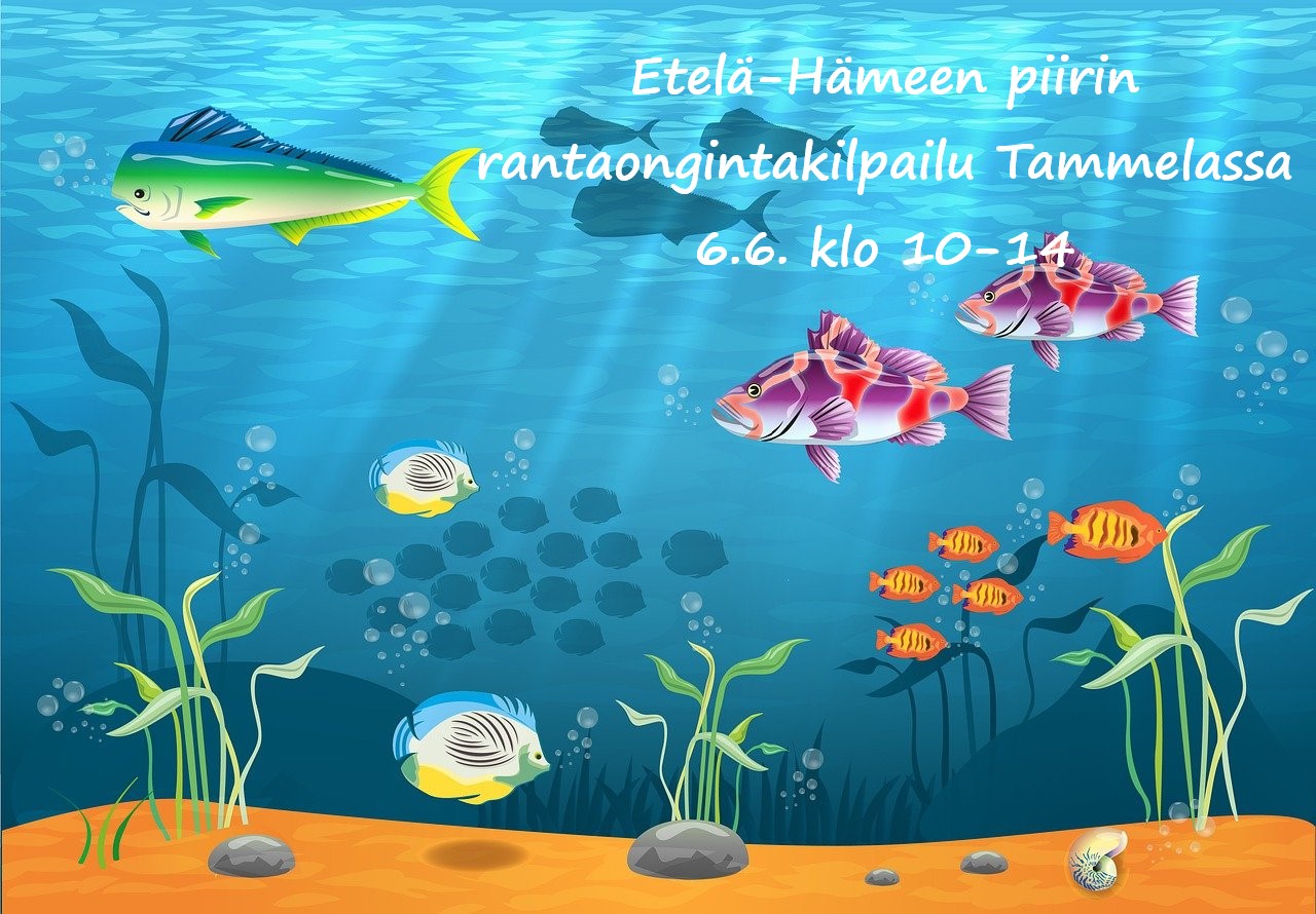 onkikilpailu