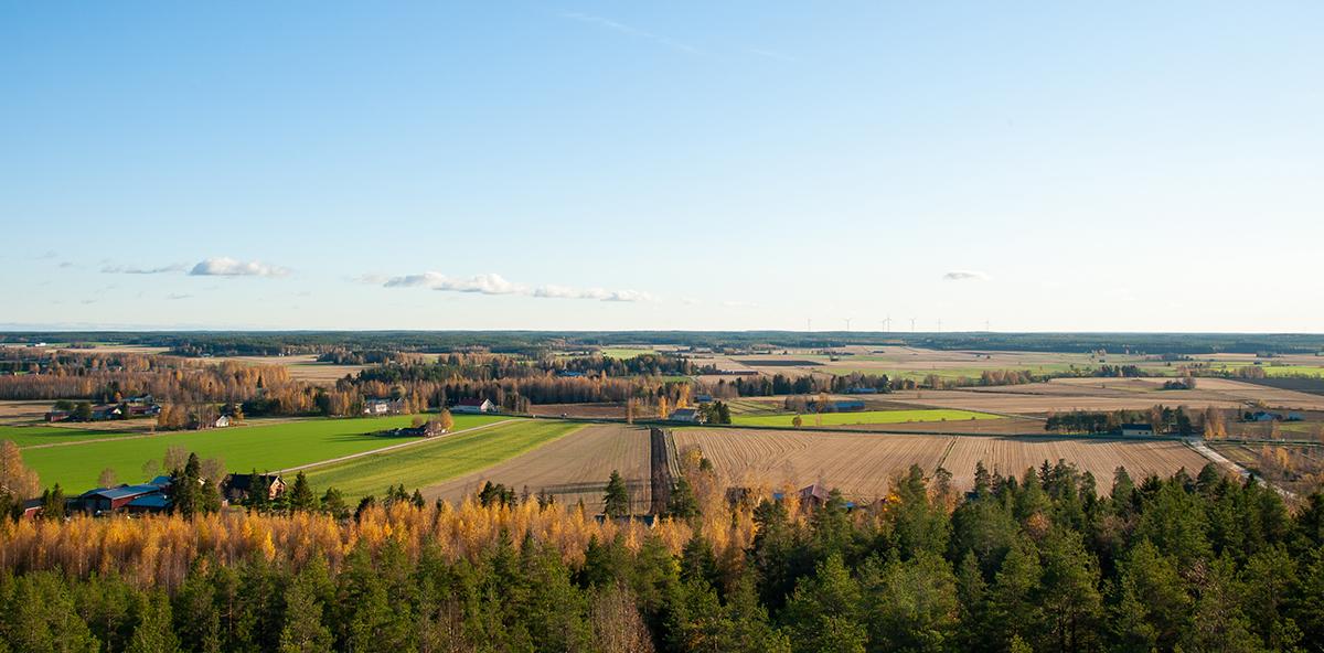 Peltoaukeama