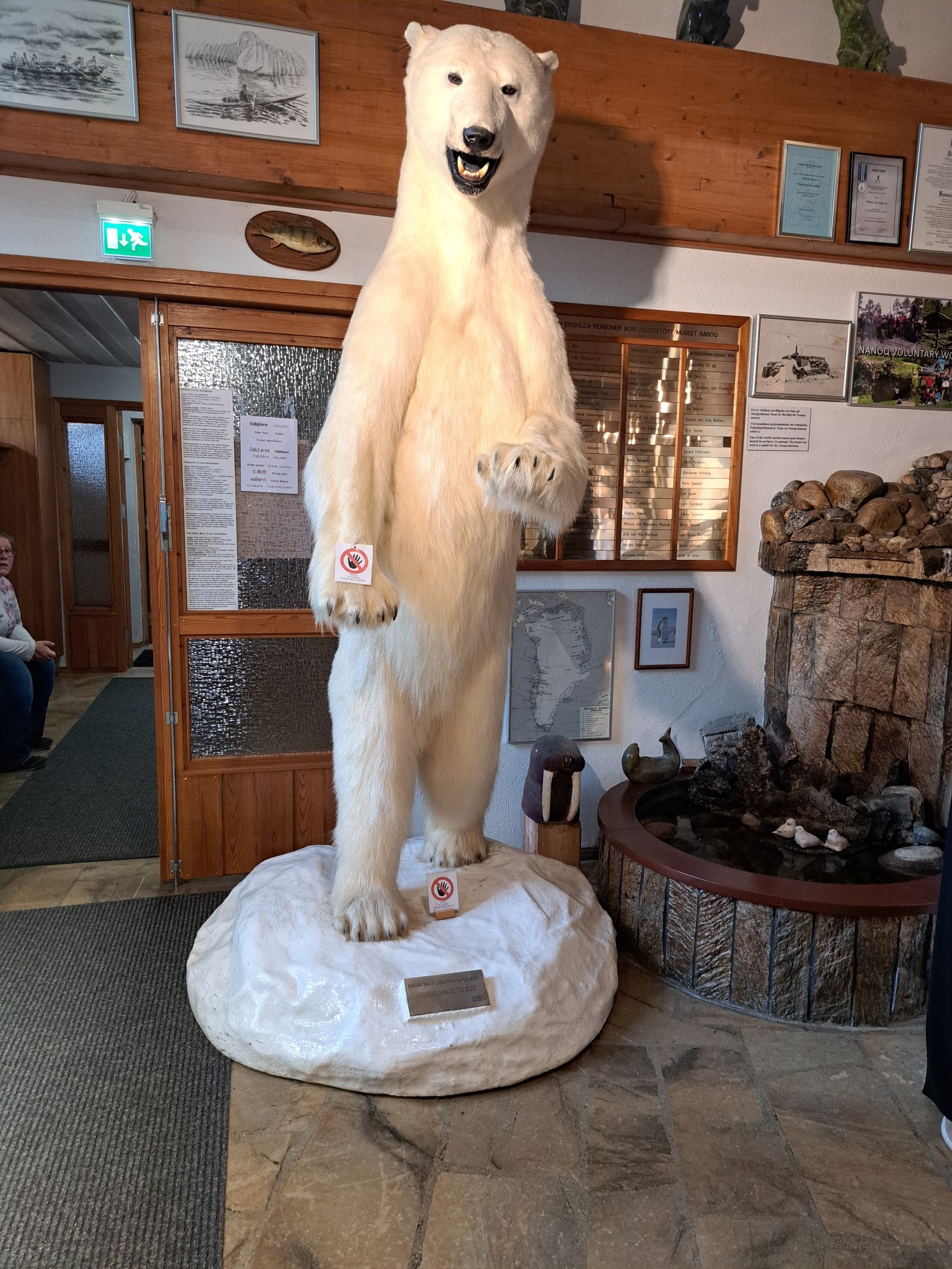 Nanoq-museolla jääkarhu tervehti meitä