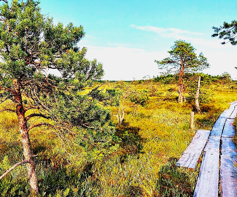 Valkmusan kansallispuisto