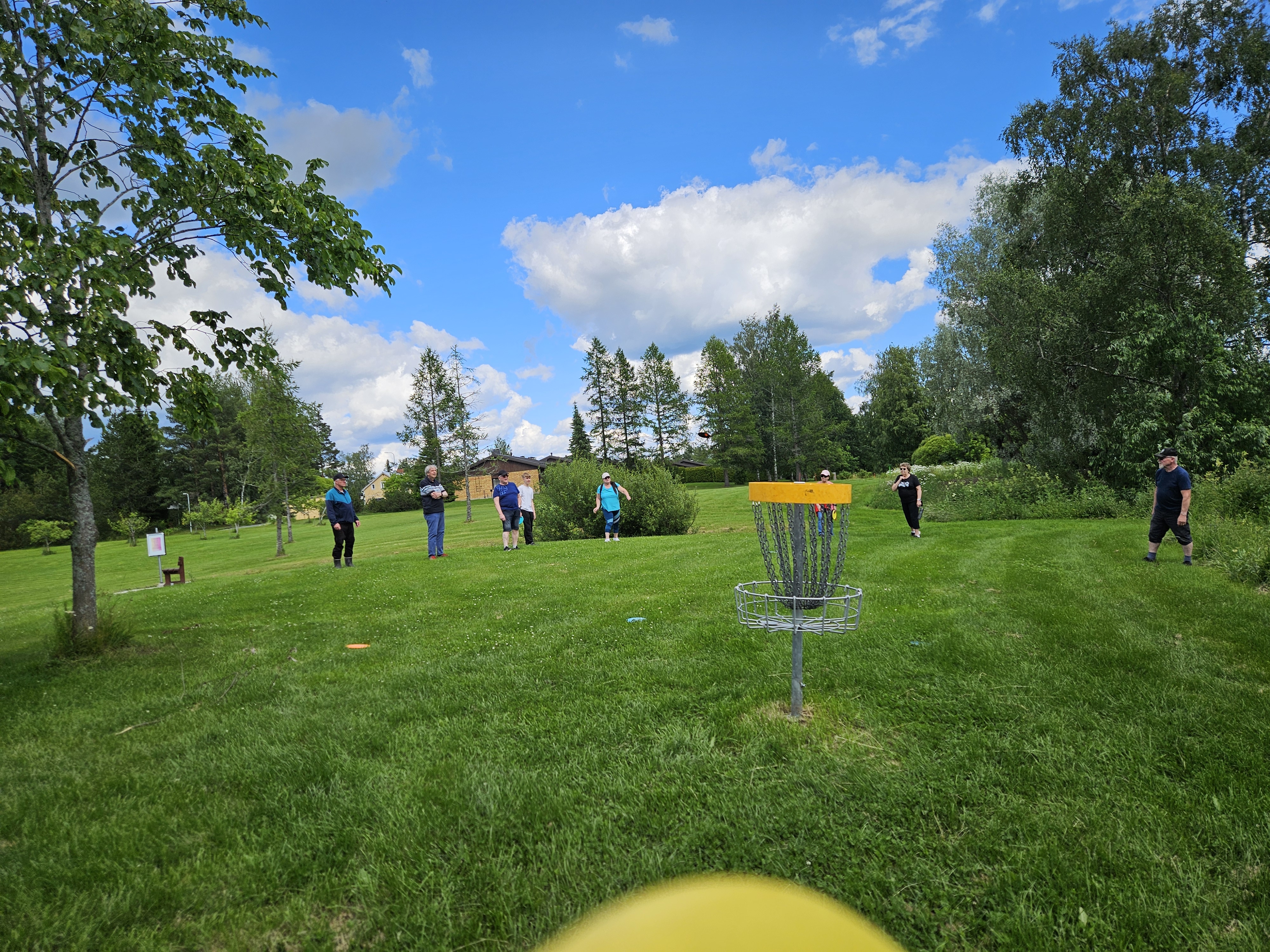 somero_frisbee akustinpuistossa