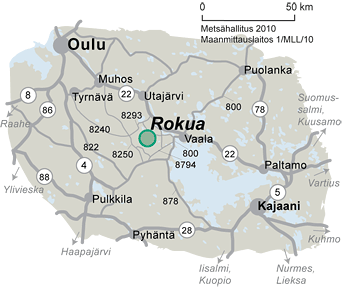 rokua