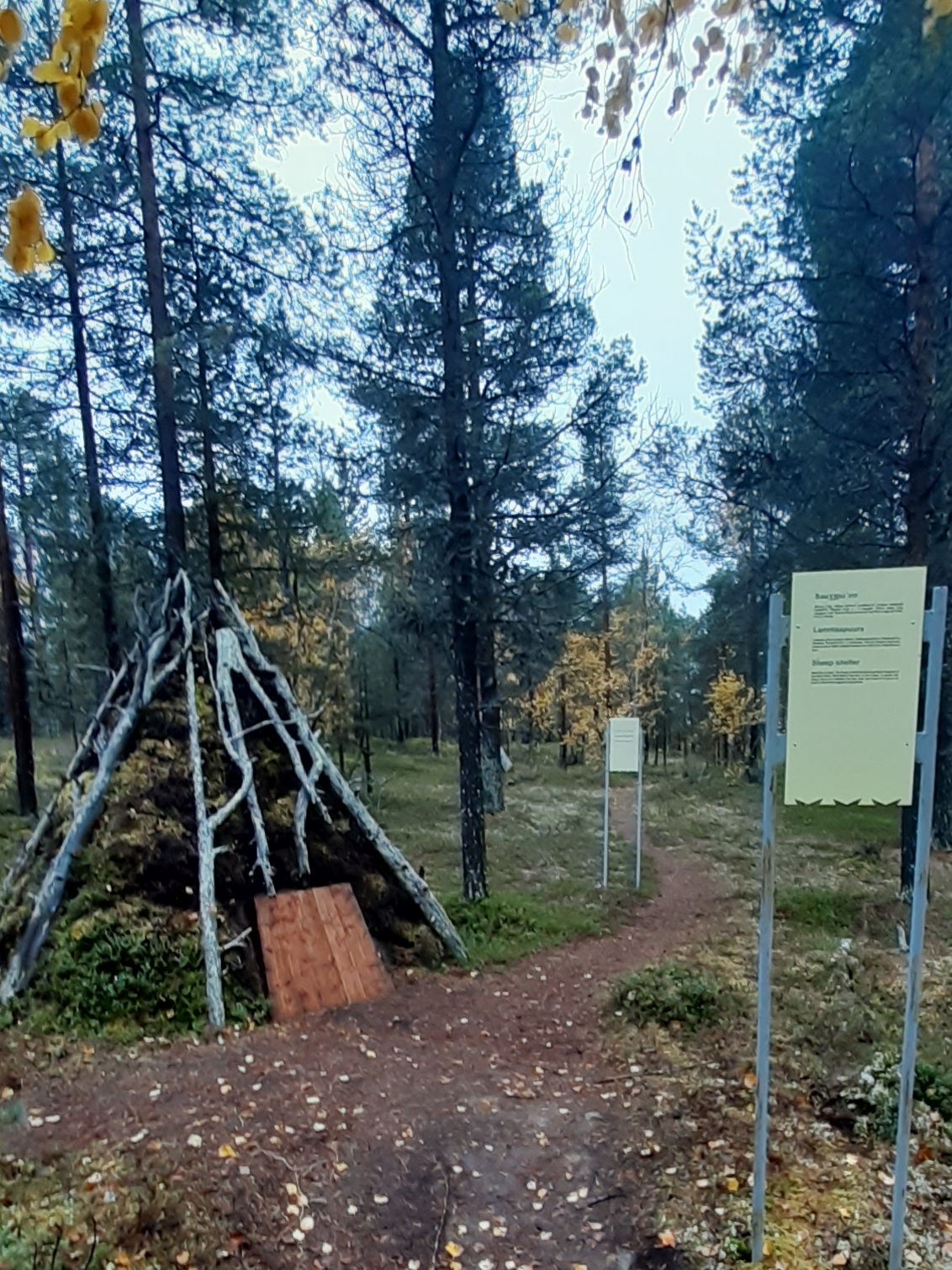 kolttasaamelaisten museo