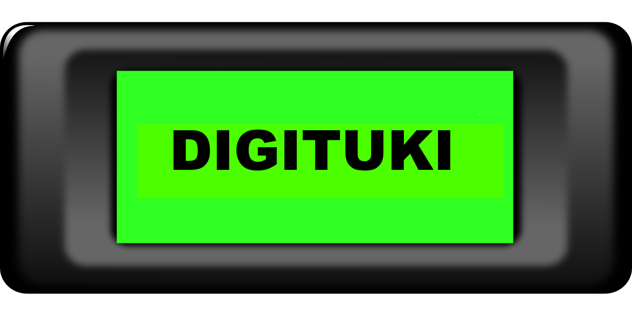 Digitukipyyntö