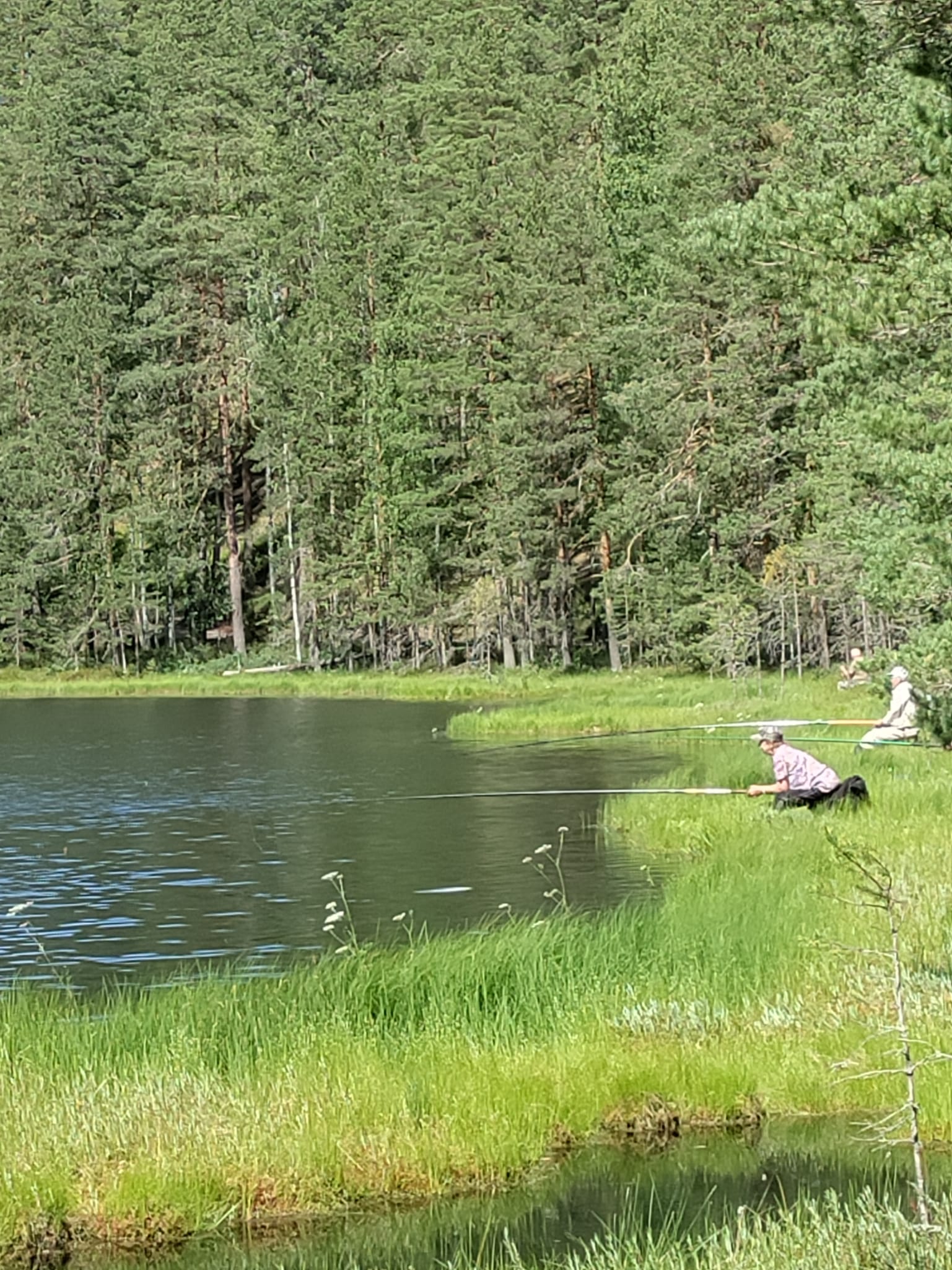 Onkikilpailu