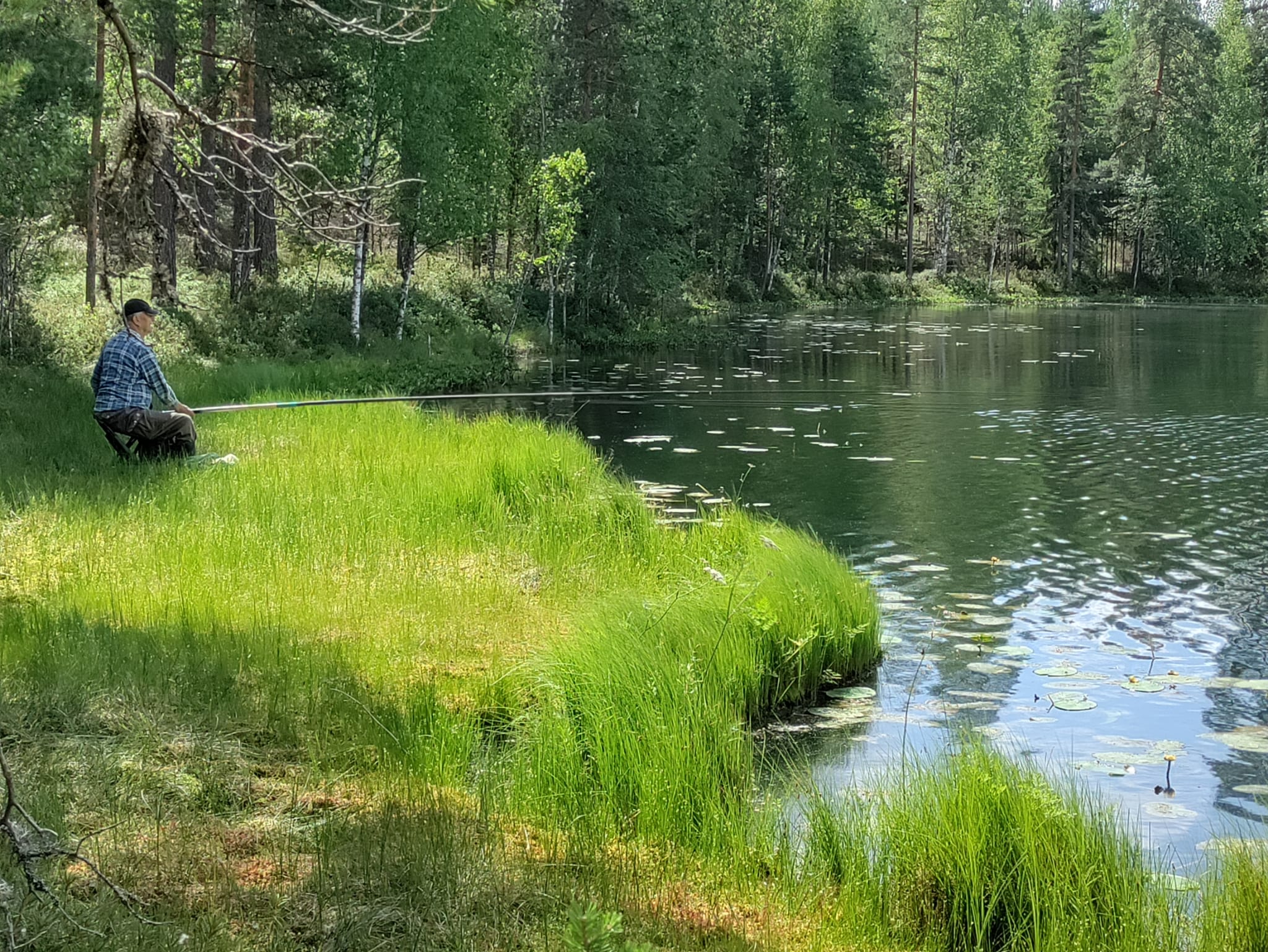 Onkikilpailu