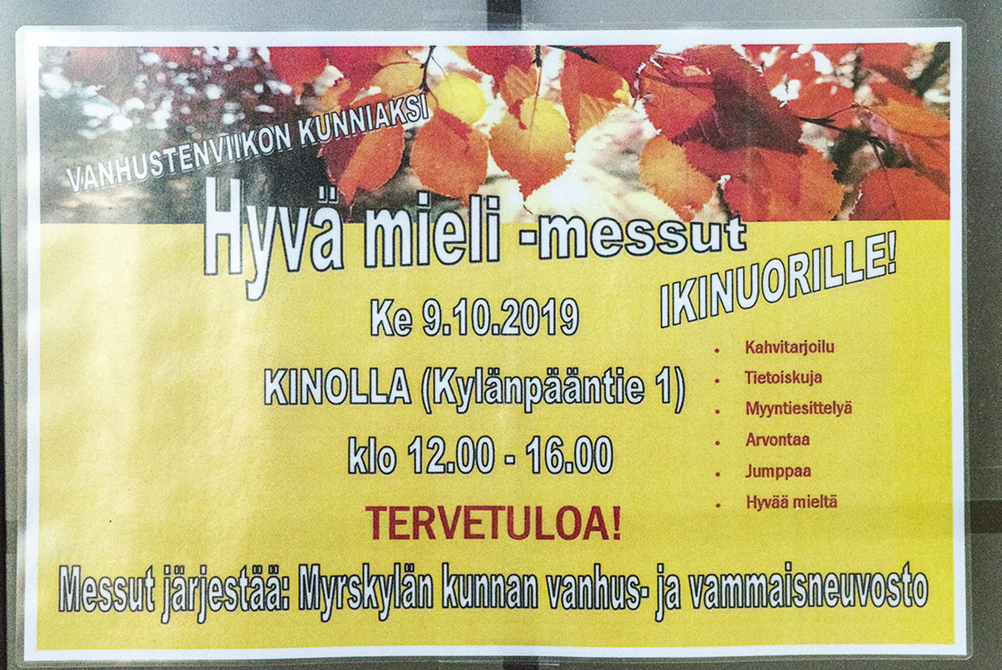 Hyvämieli messut