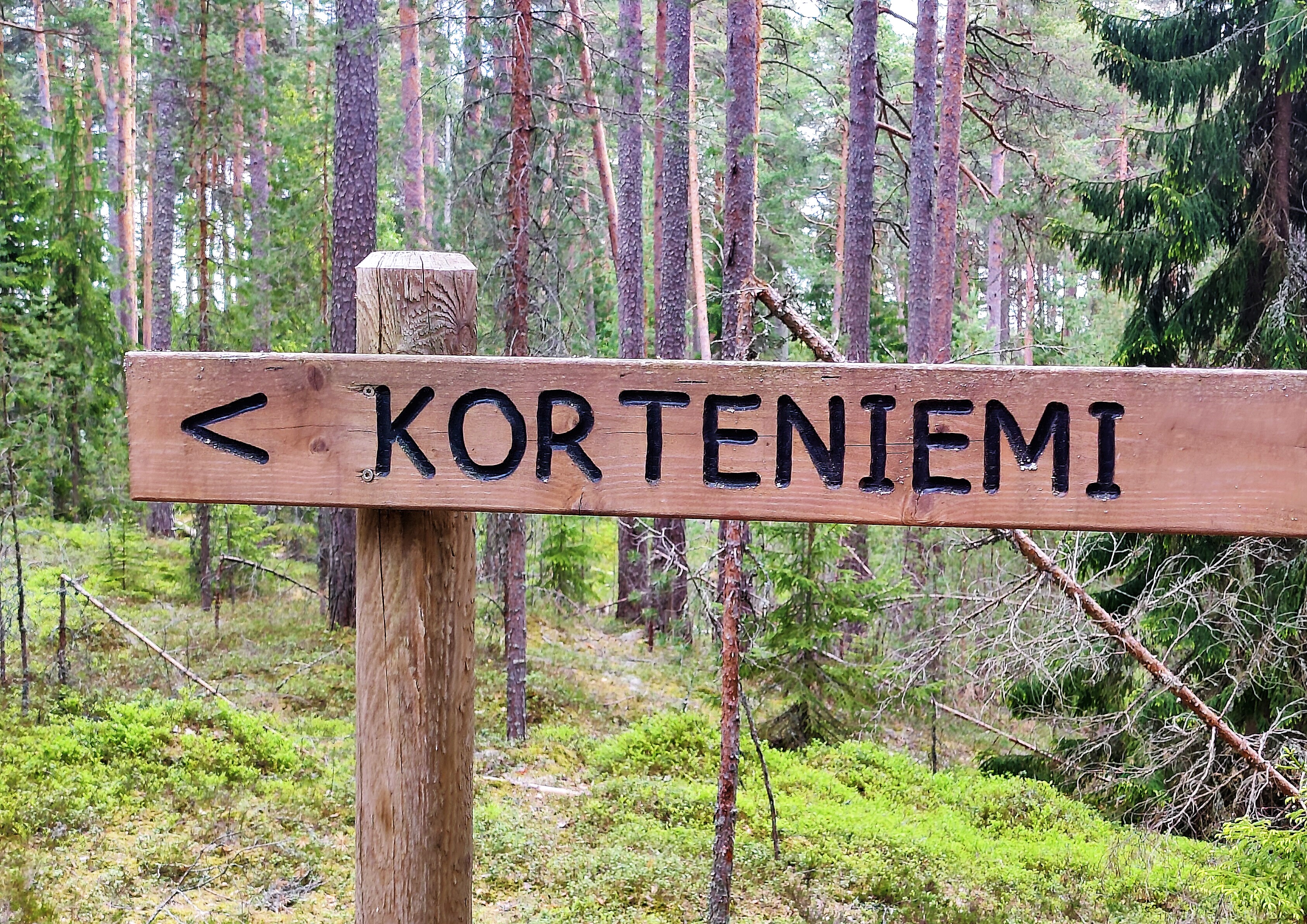 korteniemi