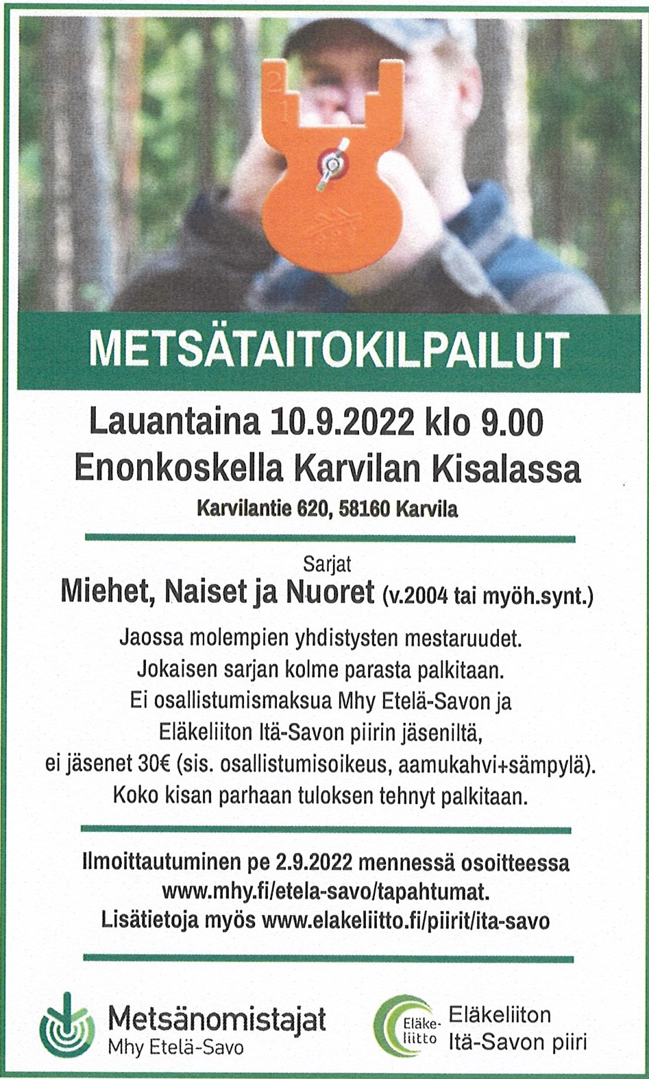 Metsätaito