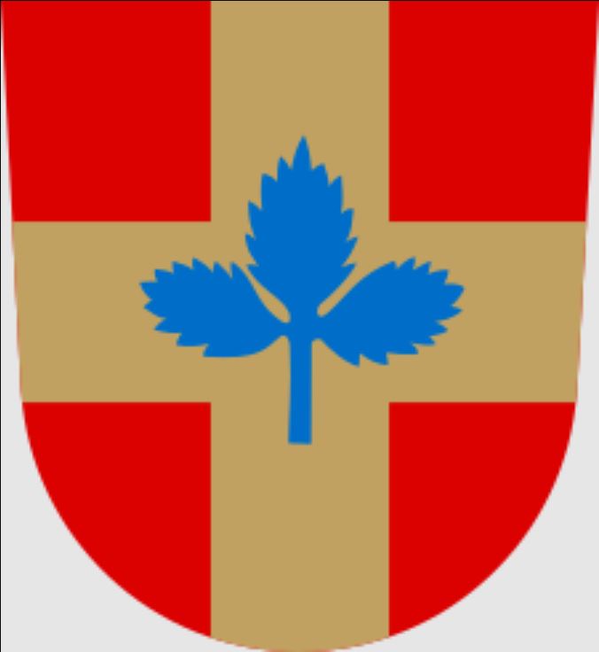 Vaakuna