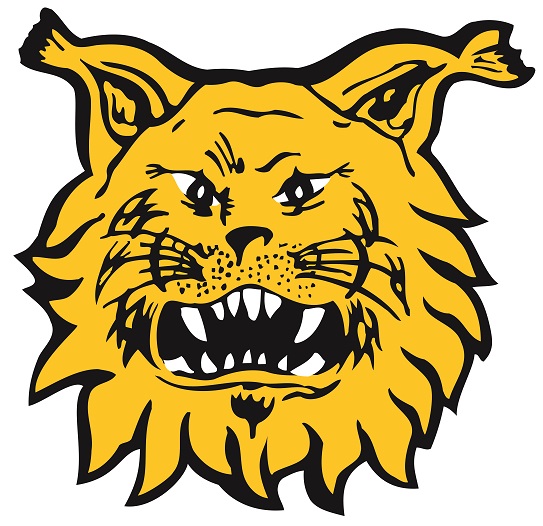 ilves logo