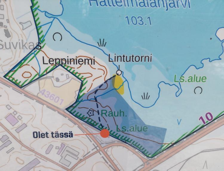 Hattelmalanjärven lintutorni
