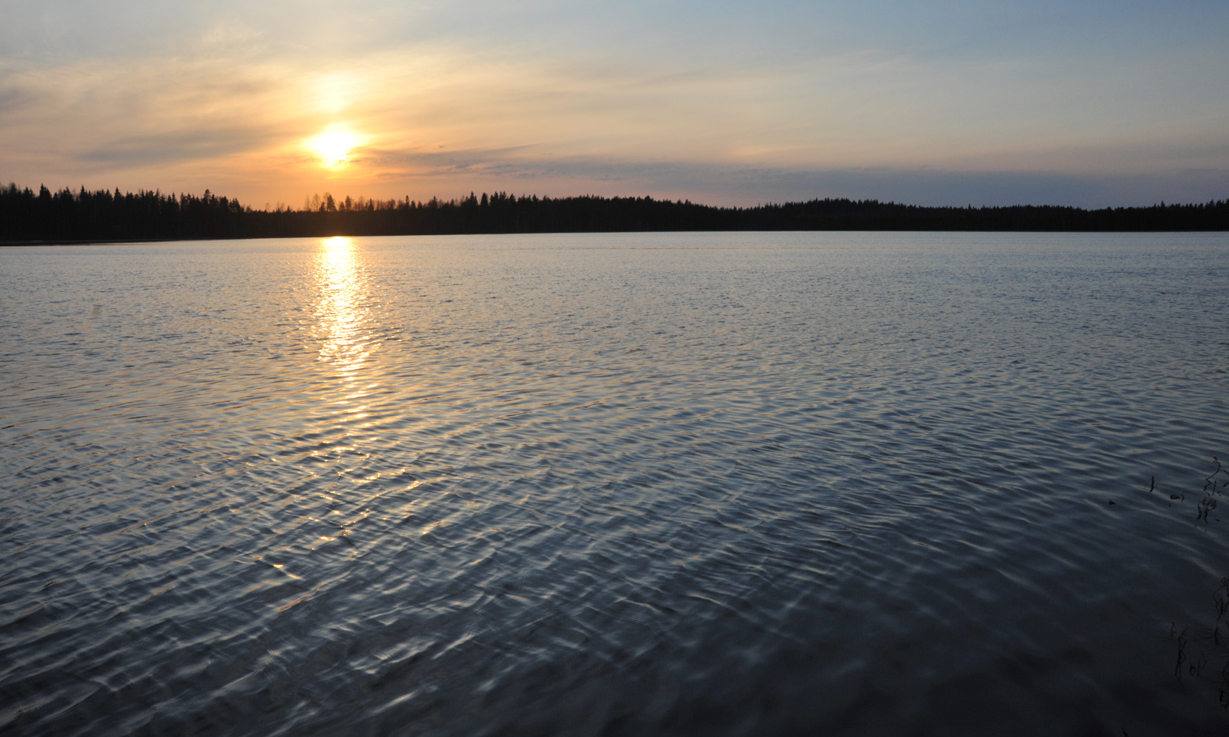 järvi