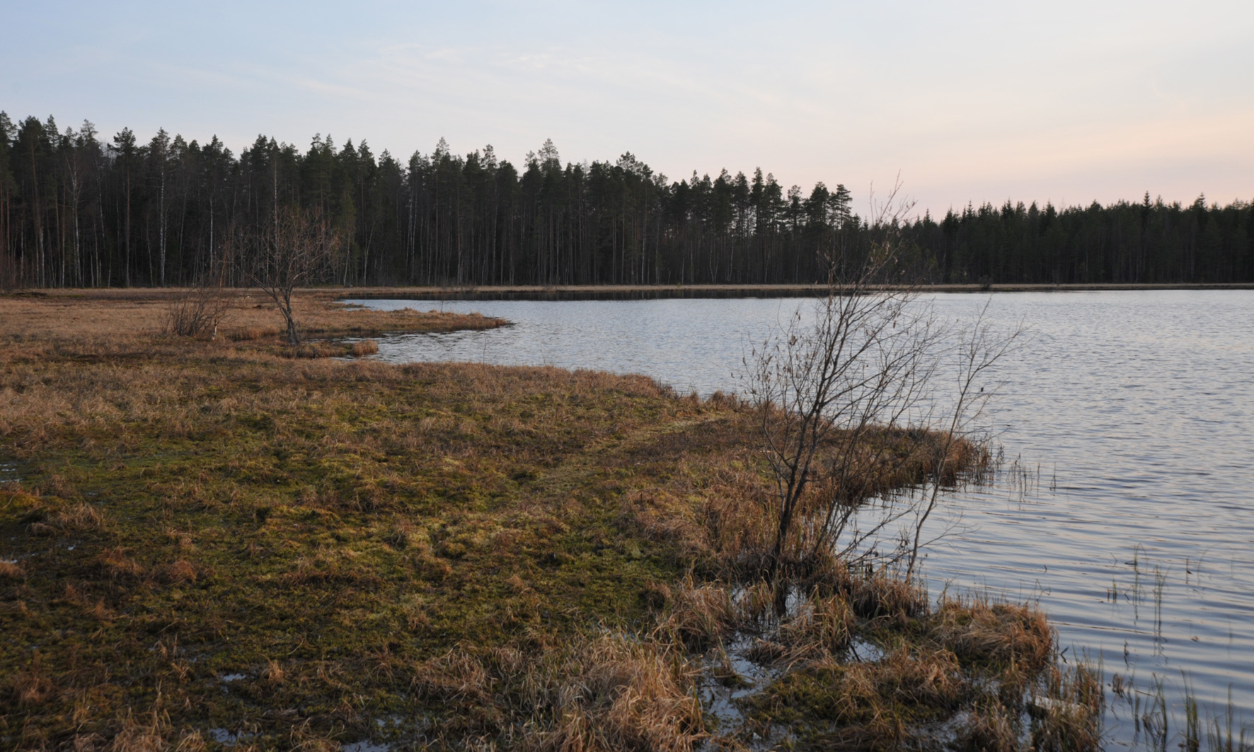 järvi