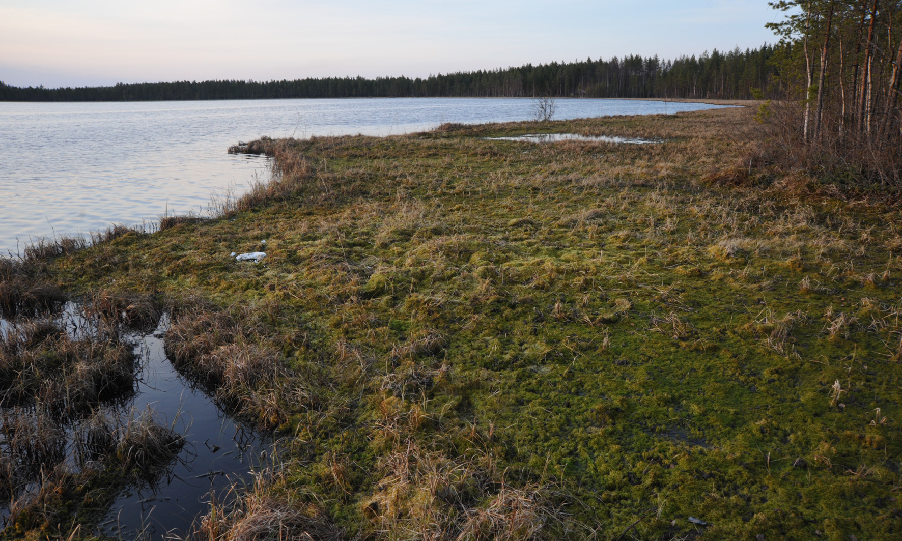 järvi