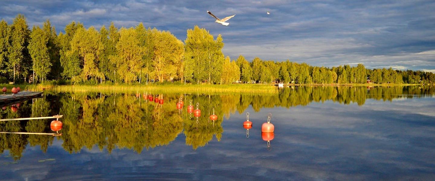 Järvi ja rantamaisema ilta-auringossa