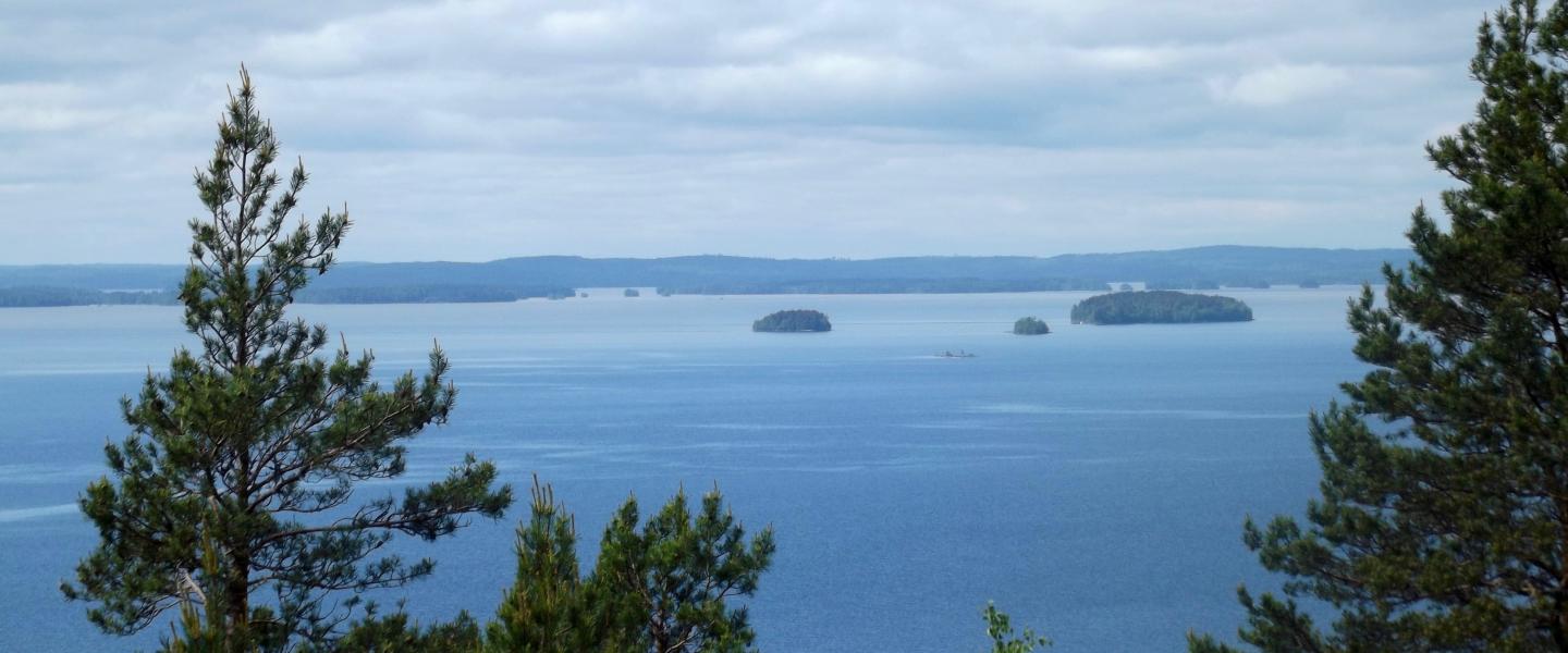 Maisema näkötornista Päijänteelle