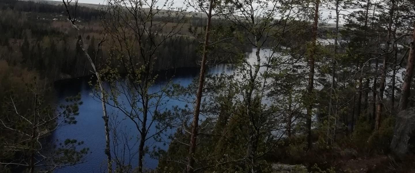 Haukkavuori