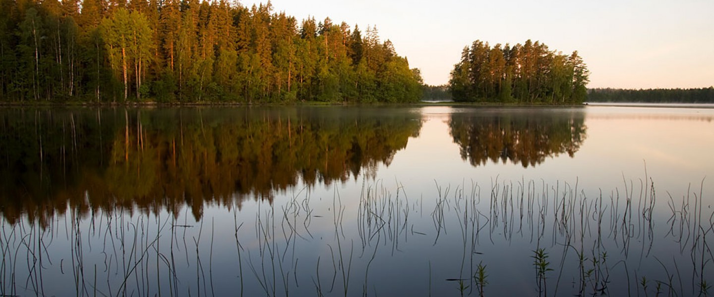 Liesjärven kansallispuisto