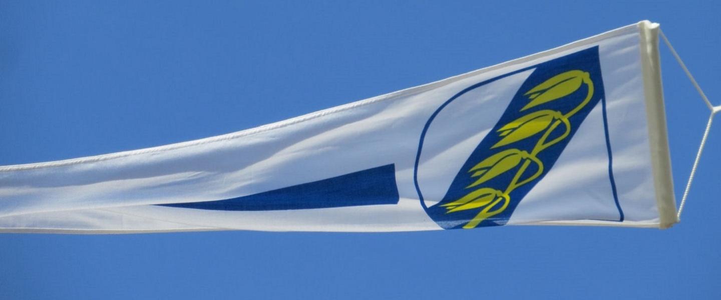 Pattijokiviiri