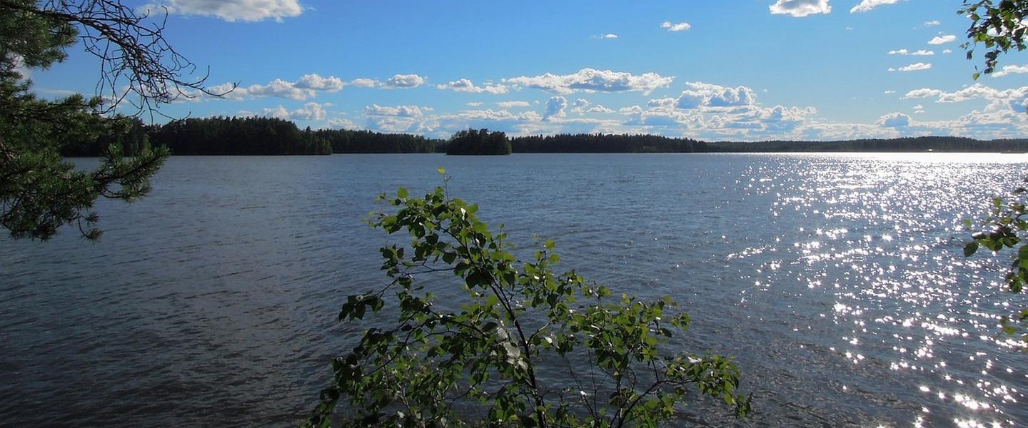 kesäinen maisema