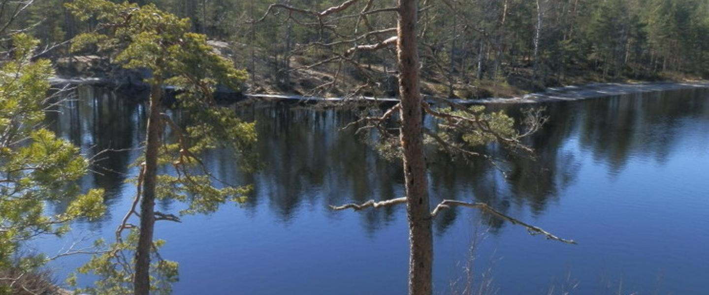 Nuuksio 8