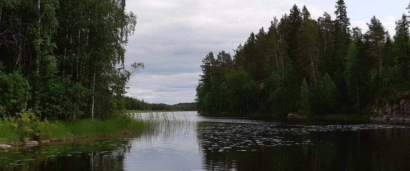 onkipaikka