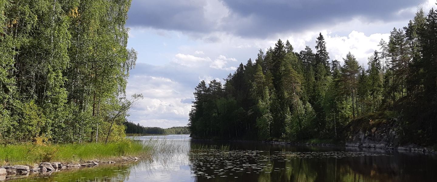 tyyni päivä