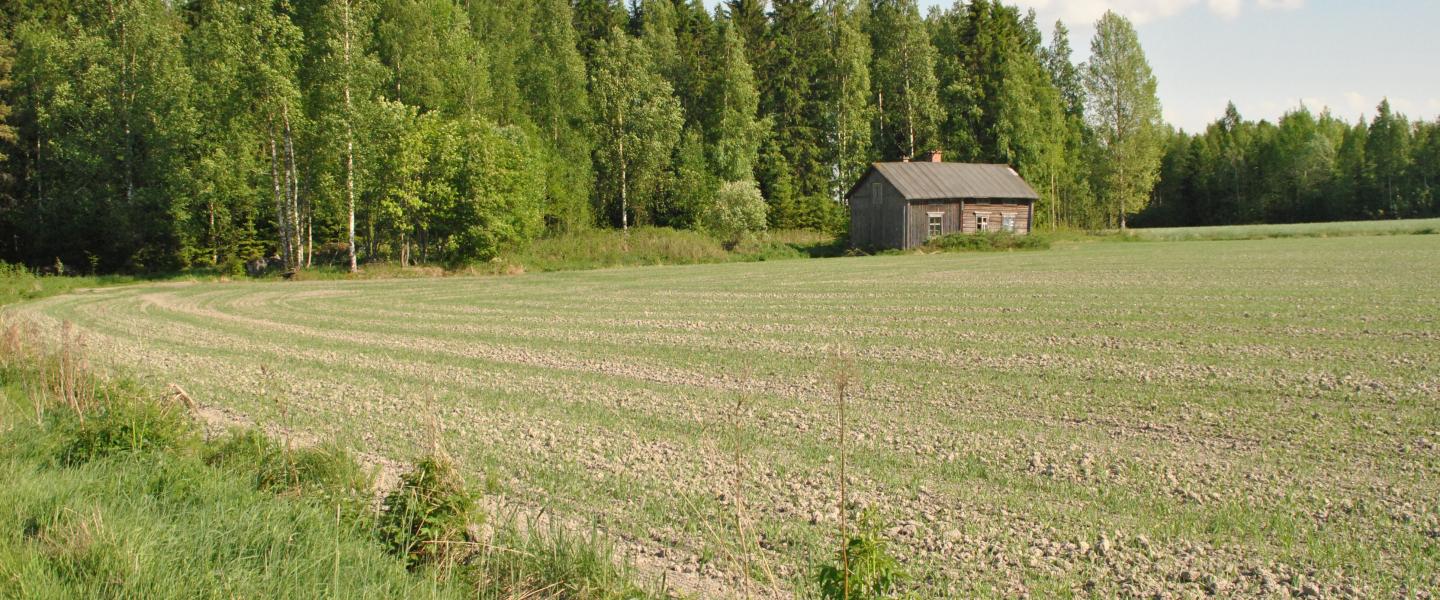 Tunnelmakuva Ylisarosta, keväisen pellon pientareella ihastuttava vanha talo