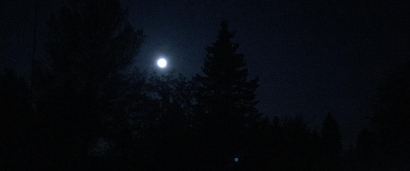 Kuutamo kuutamotanssien kuvituskuvana