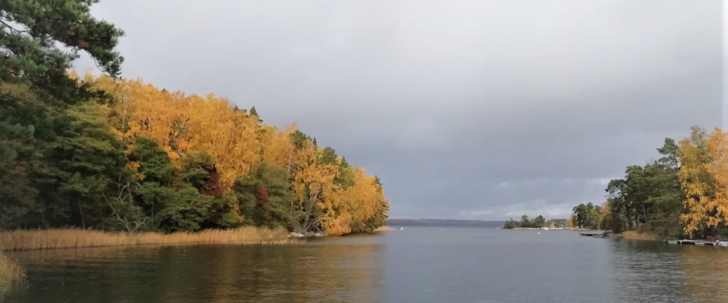 El-kivijärvi 27.10.19