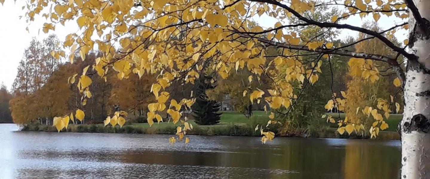 Kajaanin kaupunginlampi ruskakuva