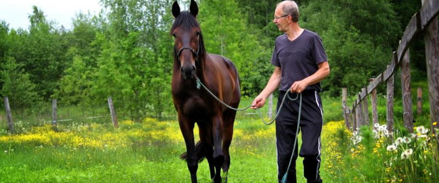 Antti Laukkonen taluttaa hevosta