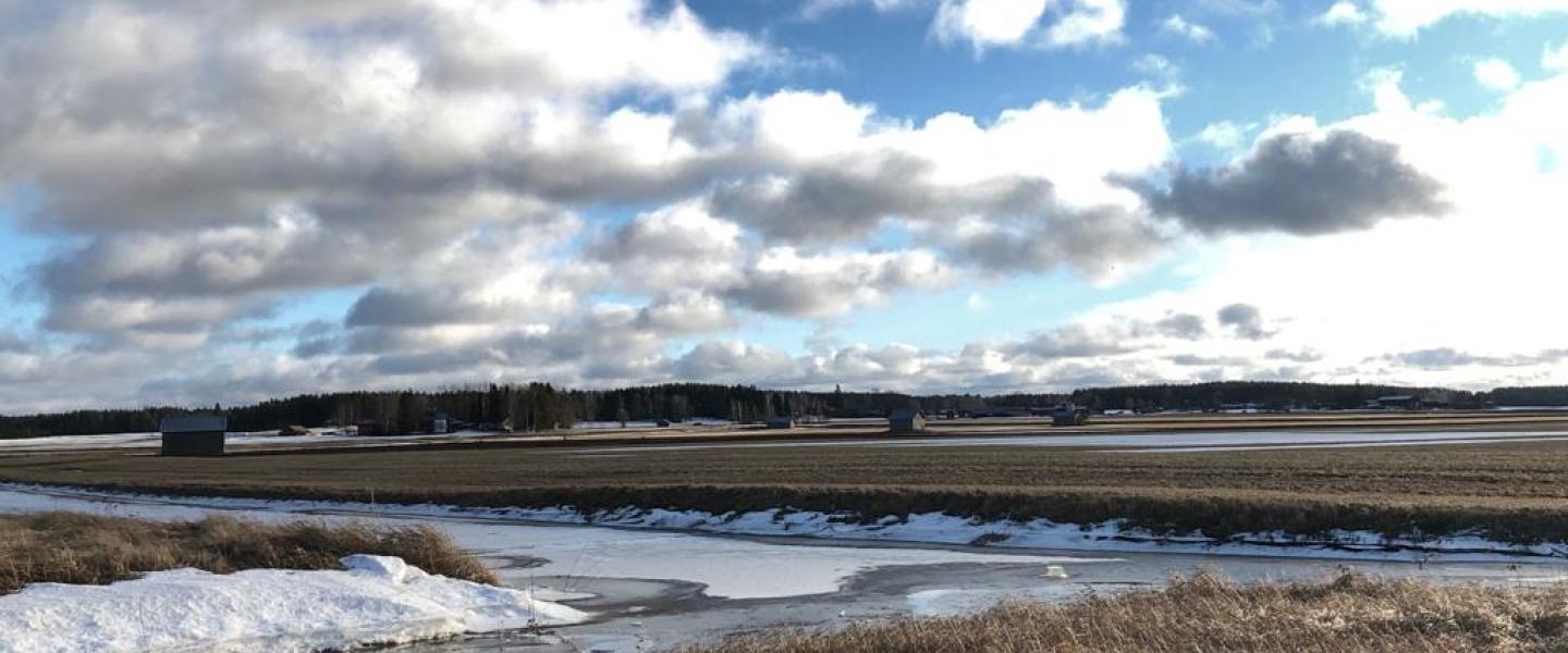 Keväinen maisema Jalasjärveltä