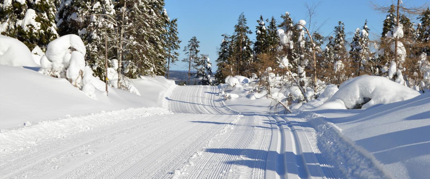 Hiihtoladut metsässä