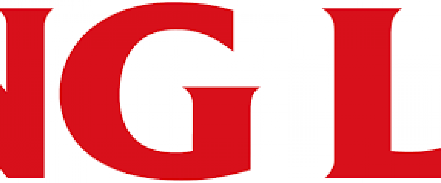 agvikinglogo