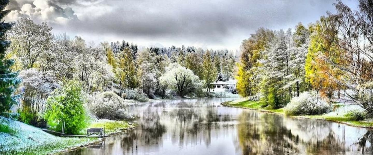 Maisema