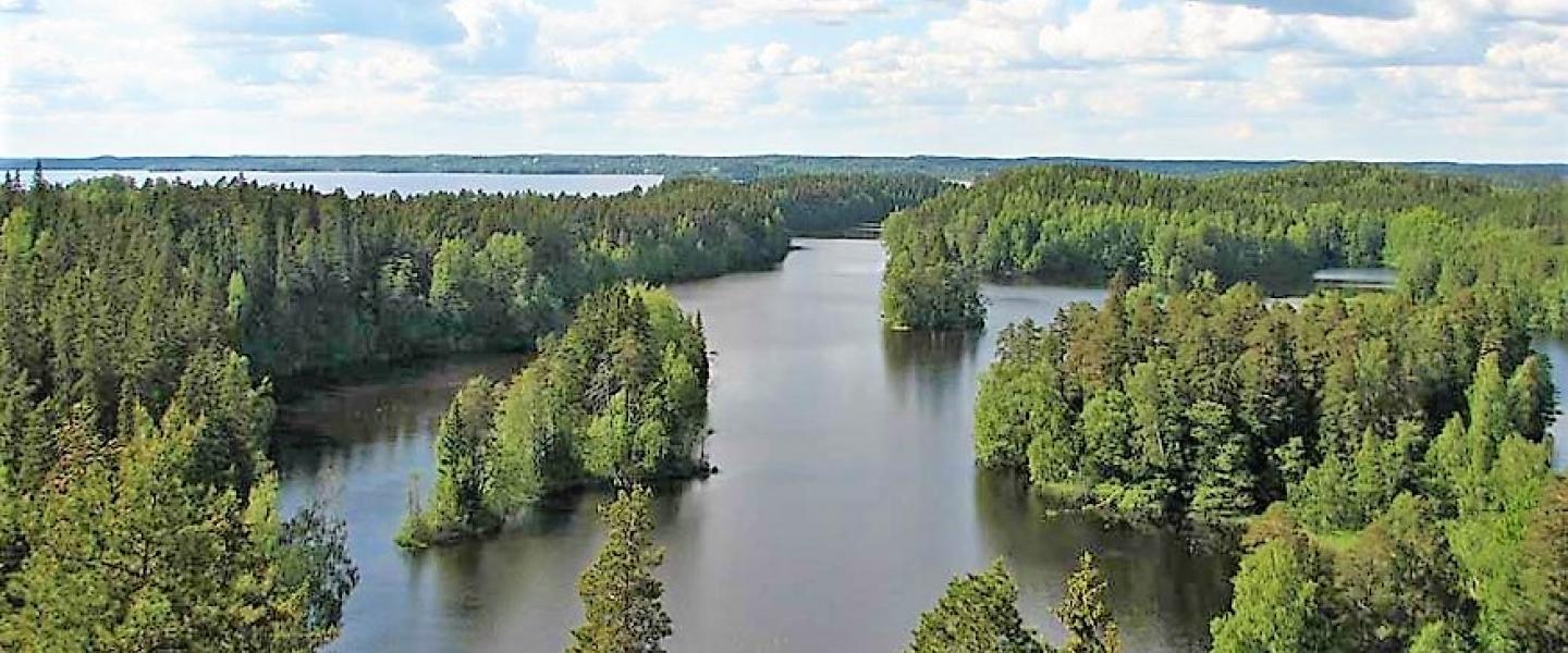 puisto