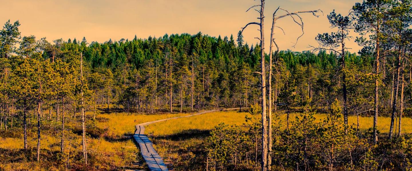 Tervetuloa