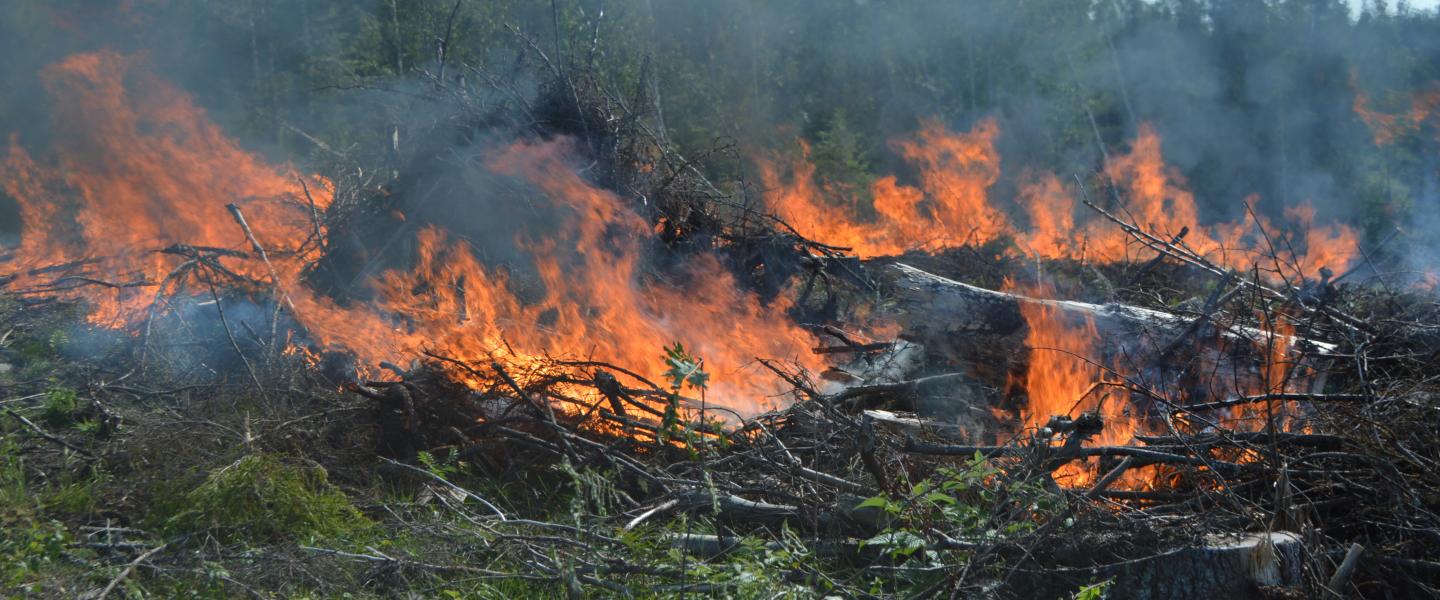 Pekka Sirviön säätiön metsä palaa