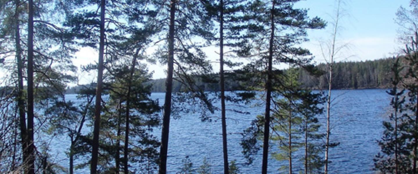 Lehmijärvi